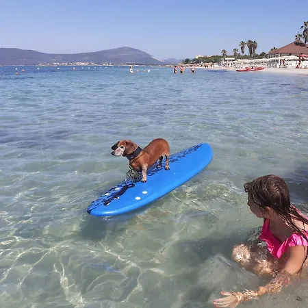 Lido Monolocale * Αλγκέρο